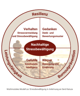 Kreis Diagramm Stressbewältigung