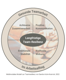 Kreis Diagramm Team-Resilienz