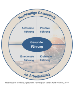 Kreis Diagramm Gesunde Führung