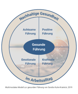 Kreis Diagramm Gesund Führen